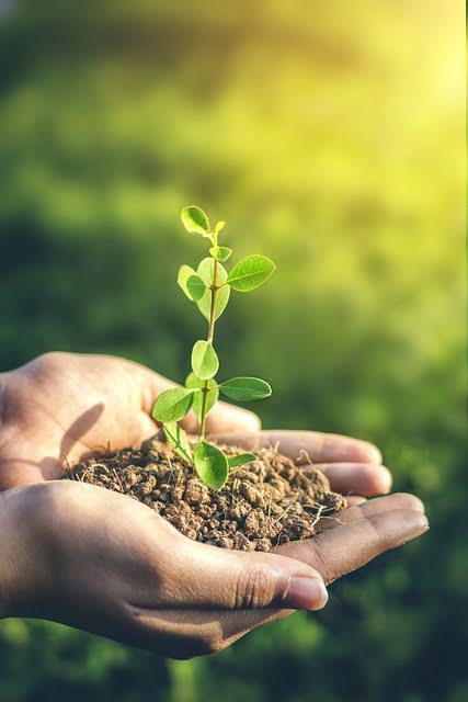 Matichi supikata kashi vadhvaychi