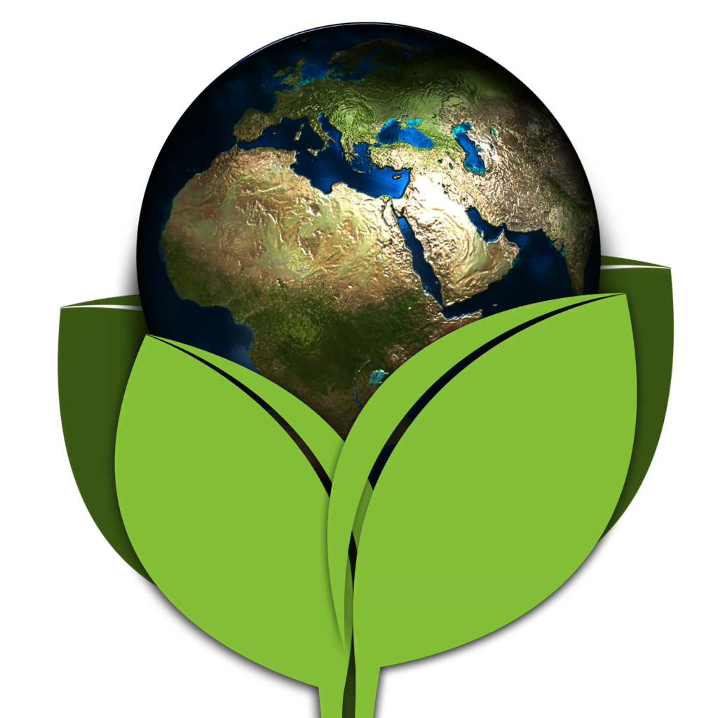 eco-friendly practices