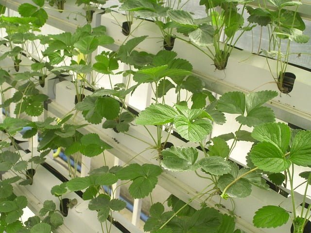 how to increase crop production in india