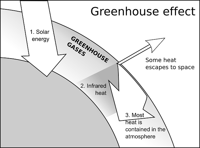causes of green house effect