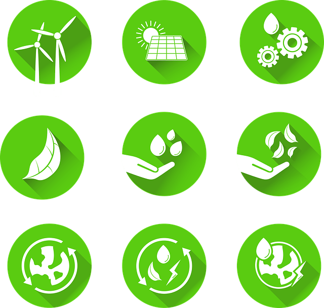 eco tourism