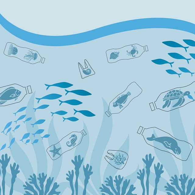 environment types of pollution